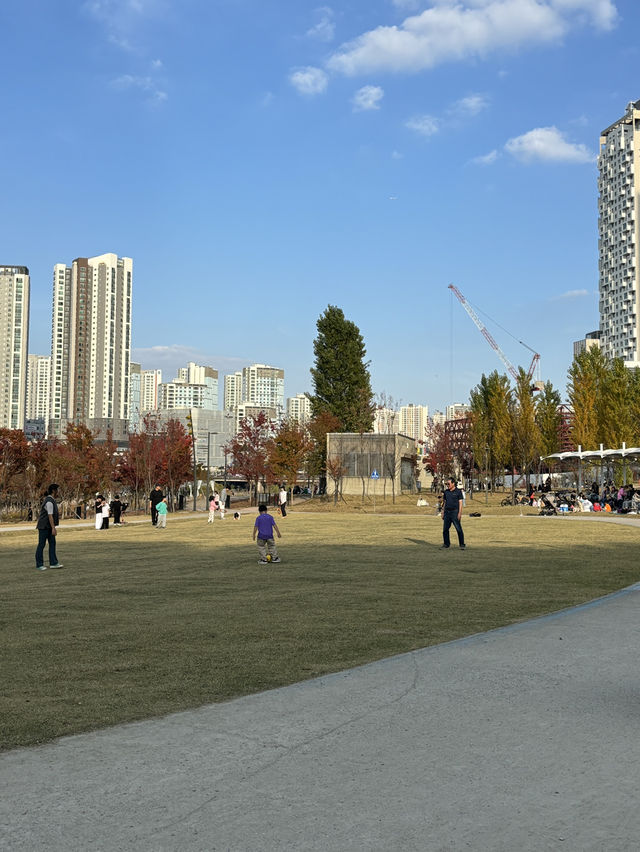 자연을 느끼면서 한적함을 느끼기 좋은 호수공원💚