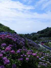名古屋一日遊：花海＋溫泉