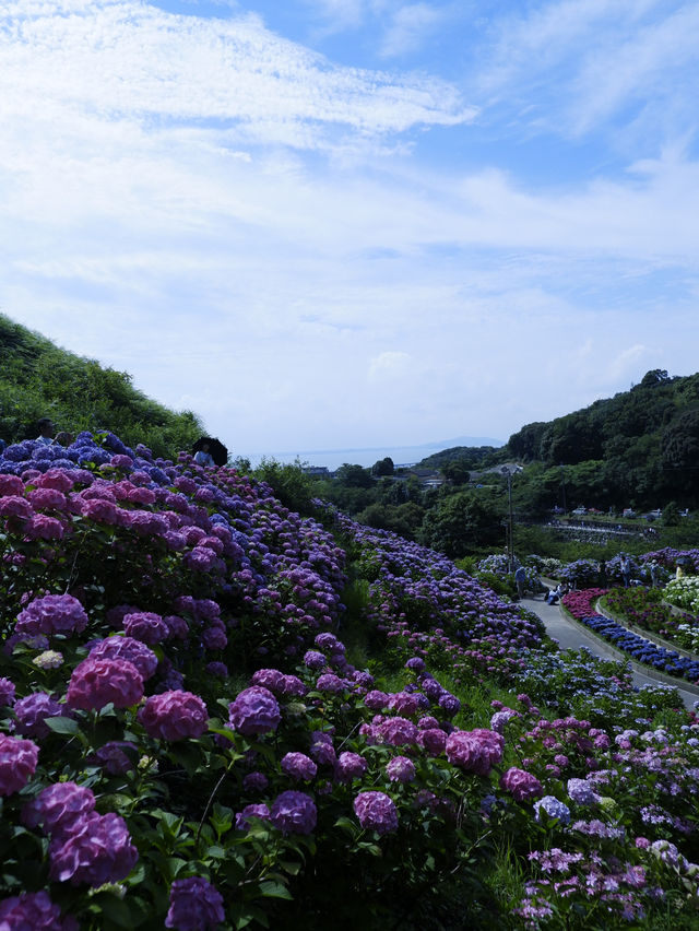 名古屋一日遊：花海＋溫泉