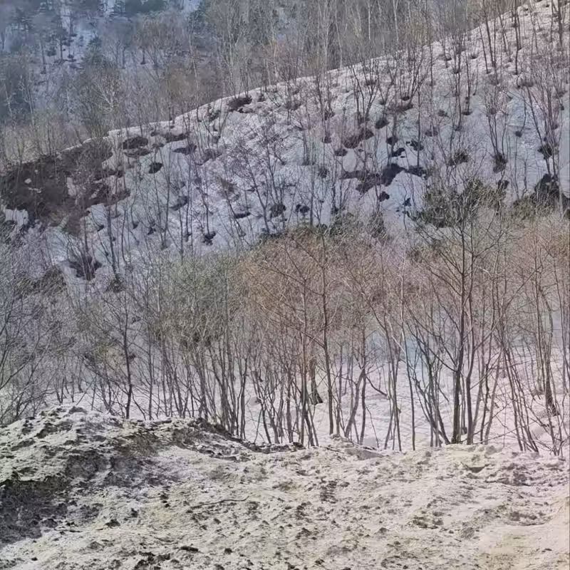 日本黑部立山的壯麗起點〔扇澤站〕