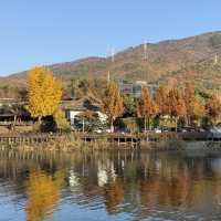 [포천] 고모리 산정호수공원에서 가을 산책🍁