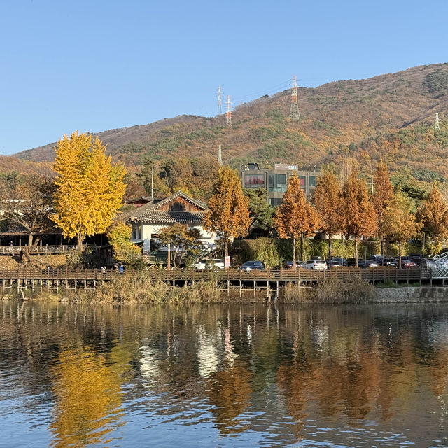 [포천] 고모리 산정호수공원에서 가을 산책🍁