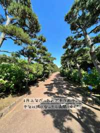 【神奈川】穴場スポット!!無人島であじさい鑑賞❁⃘*.ﾟ