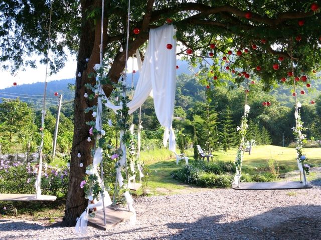 เที่ยวชมทุ่งคอสมอสที่ Margaret Private Villa 