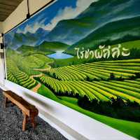 ที่เที่ยวเปิดใหม่ทานอาหารในไร่ชา PASSA Mae On