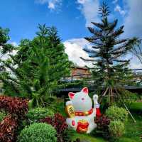 คาเฟ่ญี่ปุ่นในไร่ชา เปิดใหม่ - PASSA Cafe'