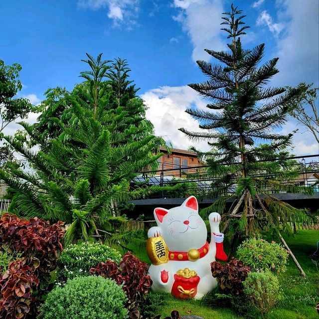 คาเฟ่ญี่ปุ่นในไร่ชา เปิดใหม่ - PASSA Cafe'