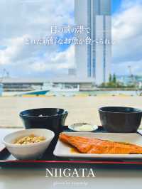 目の前の港でとれたお魚が食べられる！【新潟/新潟】