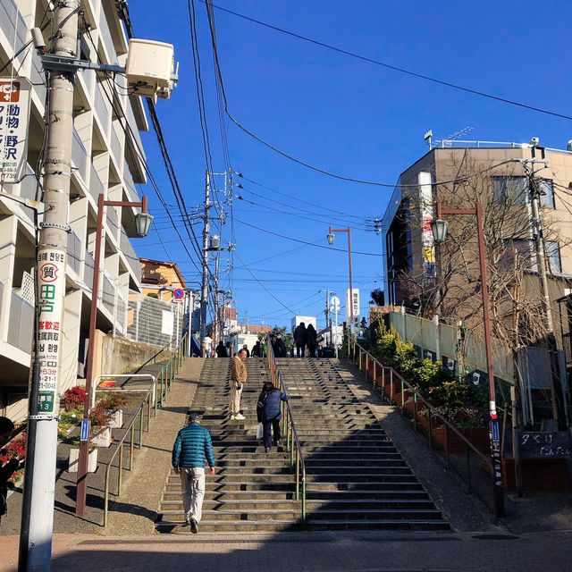 도쿄 산책 [야나카 긴자]🚶‍♀️