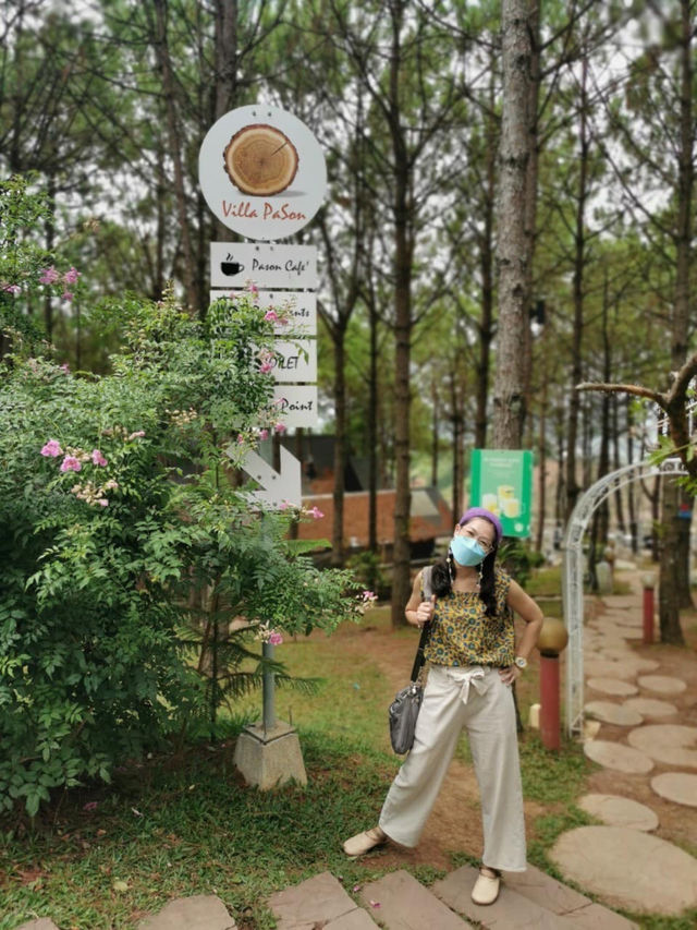 🏕️ วิลล่าป่าสน เขาค้อ