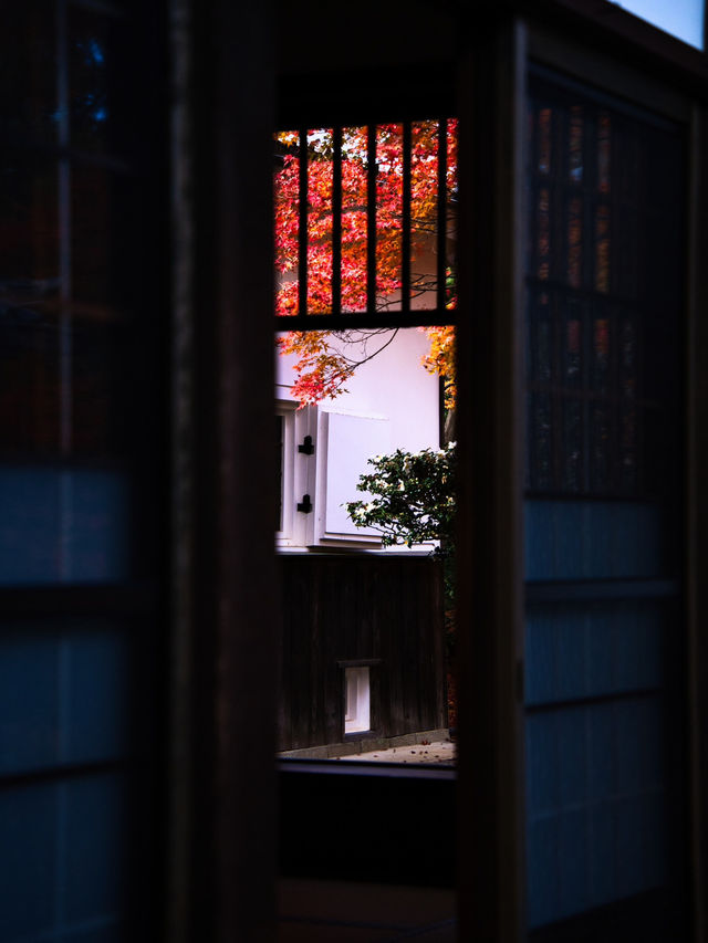 【紅葉特集】窓越しに見る紅葉🍁「そうだ 京都、行こう。」の舞台にもなった禅を感じるスポット✨