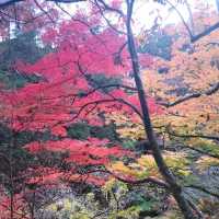 【山梨】昇仙峡