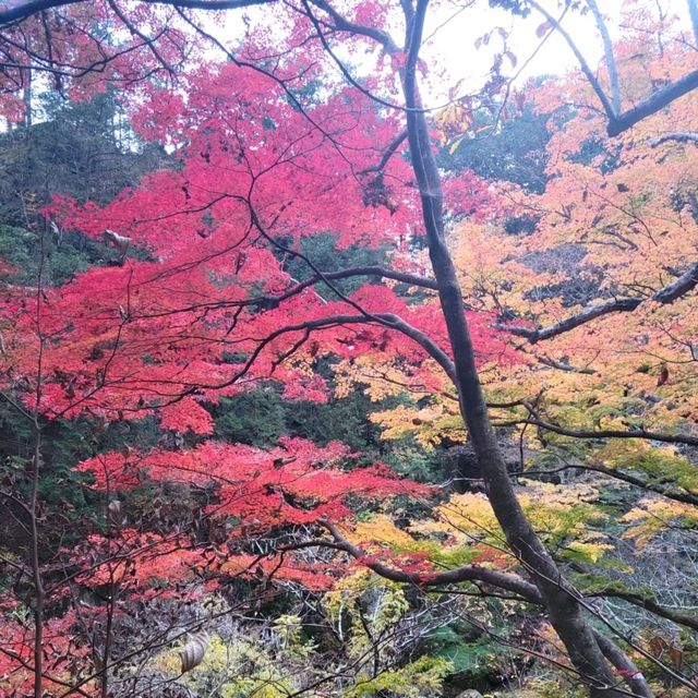 【山梨】昇仙峡