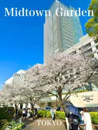 東京　東京観光　ミッドタウンガーデンの桜は最高だったぞ！