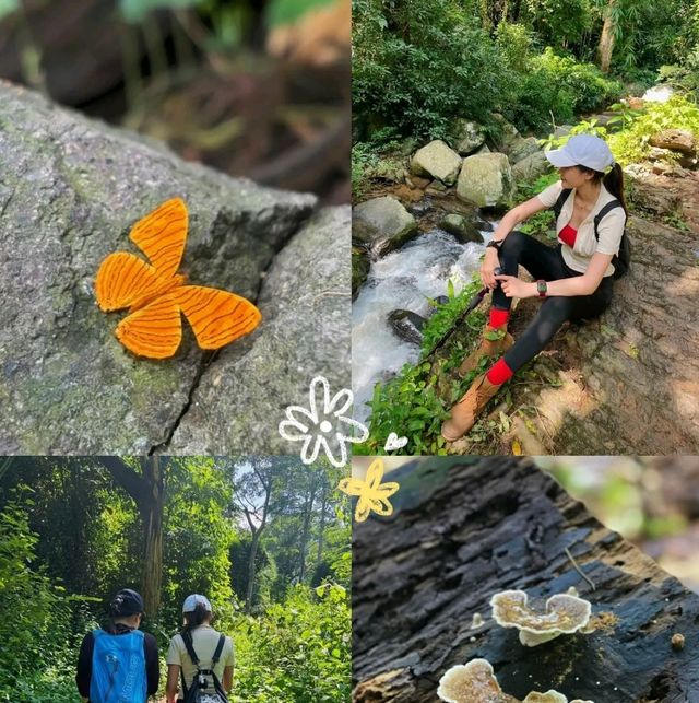 🍄One day trip สระบุรี - น้ำตกโกรกอีดก 🌳