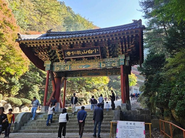Fall season at the biggest temple in Korea, Guinsa Temple