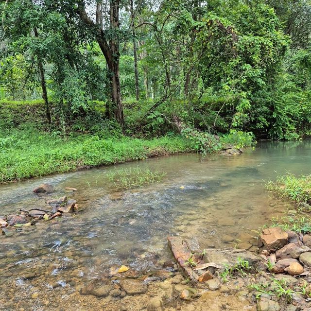 Khao Sok Surat Thani ⛰️