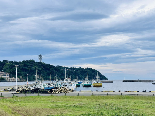 🇯🇵東京近郊鎌倉一日遊🌊 看到富士山的漂亮海岸