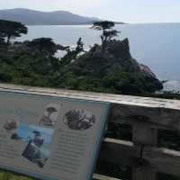 Discover the Splendid View of 17 miles drive at California