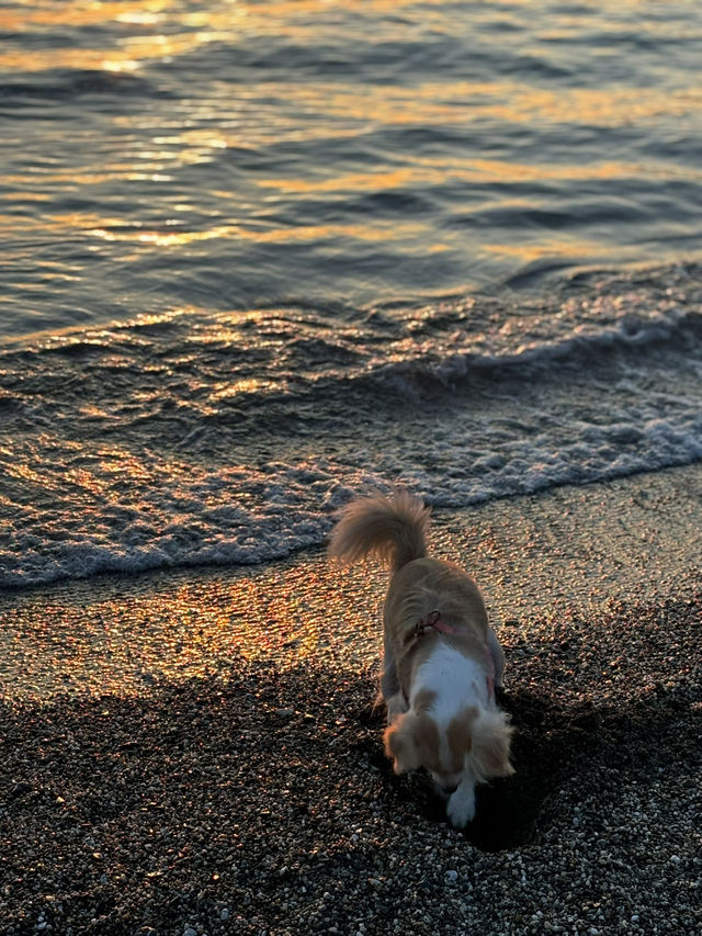 이탈리아/레반토🇮🇹 꼭 다시 가고싶은 레반토 해변🌊