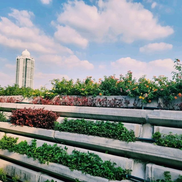 泰國曼谷最有特色的跨河空中花園公園景點:昭披耶天空公园，適合拍照打卡親子遊
