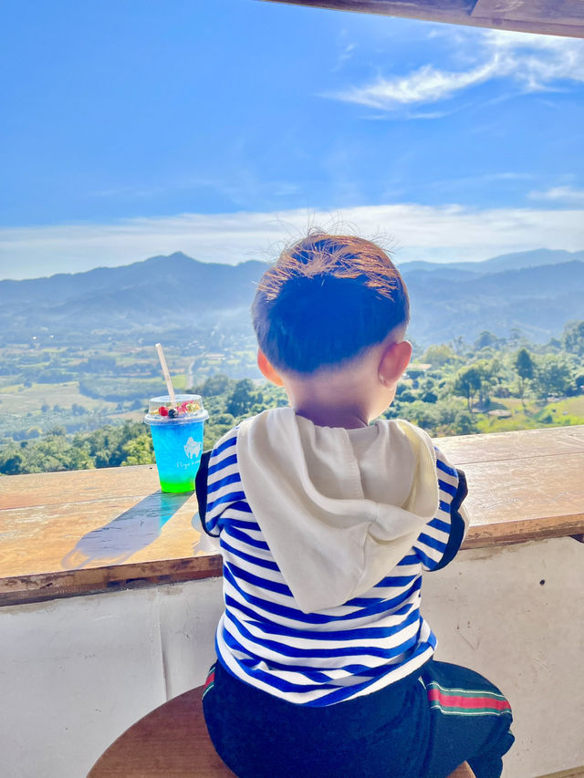 ดื่มด่ำวิวภูลังกา Magic Mountains Cafe