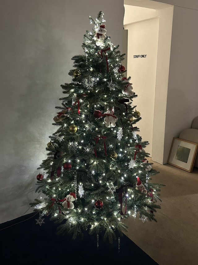 행궁동 크리스마스 카페추천 “본지르르”☕️🎄