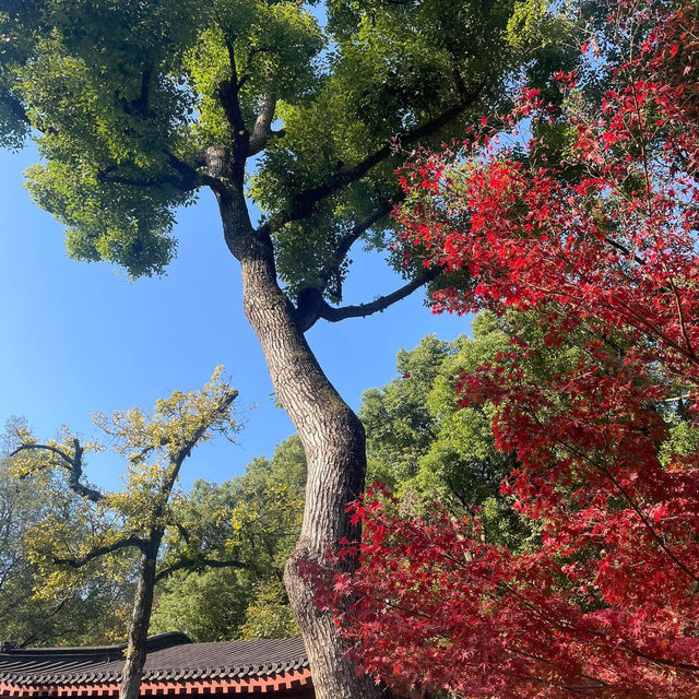 หางโจว สวรรค์บนดิน 🌳🌈
