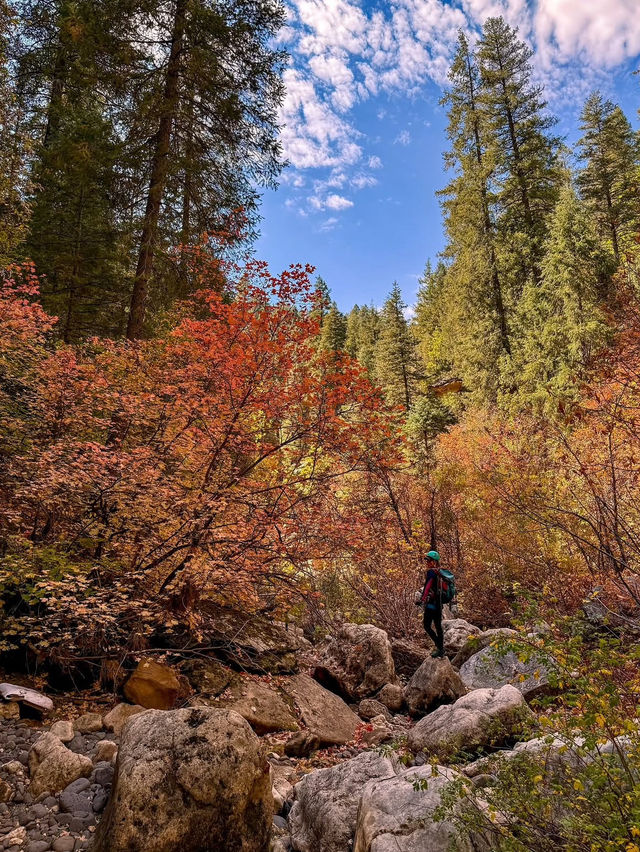 A Day of Canyon Climbing in Arizona