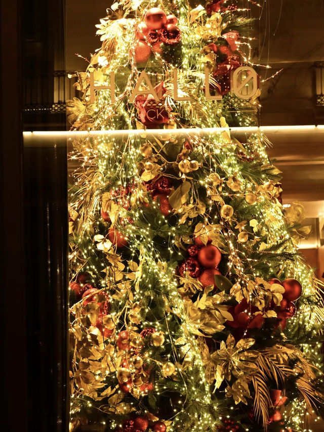A Festive Fiesta: Christmas in Barcelona