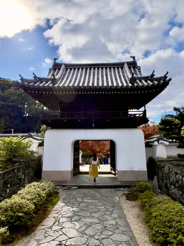 京都 ❤︎ まるで絵画のような🖼️竜宮門からの紅葉🍁 