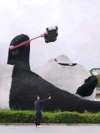ตามหา แพนด้ายักษ์ เซลฟี่ ที่เมือง Dujiangyan
