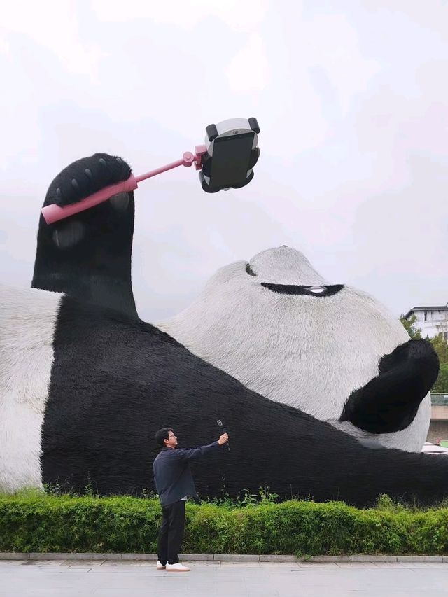 ตามหา แพนด้ายักษ์ เซลฟี่ ที่เมือง Dujiangyan