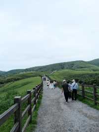 台灣旅遊·陽明山半日遊