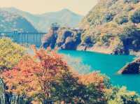 群馬🇯🇵奧四萬湖