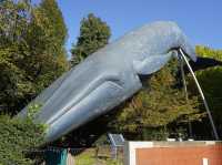 🇯🇵 【国立科学博物館】