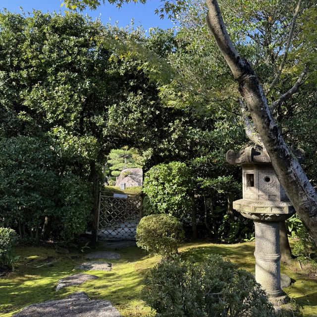 오호리 공원 일본 정원의 고즈넉한 가을 산책 🍁