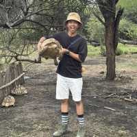 Touching the giant tortoise 🐢 