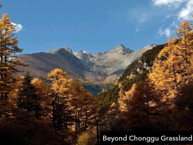 Best Autumn Viewing Experience 3/3 [Beyond Chonggu Grassland, Yading Nature Reserve]