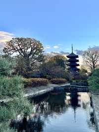 🏯 京都・東寺（To-ji）の魅力を紹介！