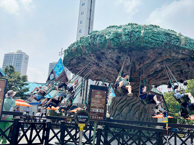 🏰樂天世界🎢首爾樂園