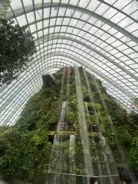 โดมยักษ์ Cloud Forest 🍃
