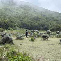 Short trip to Papandayan Mountain in Garut via Bandung with Panoramic Train 