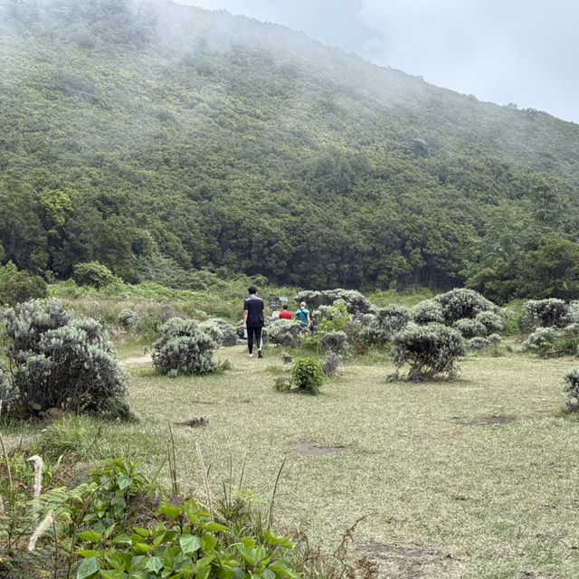Short trip to Papandayan Mountain in Garut via Bandung with Panoramic Train 