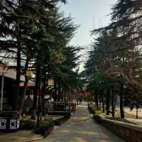 วัดจ้านซาน (zhanshan temple) ชิงเต่า ประเทศจีน