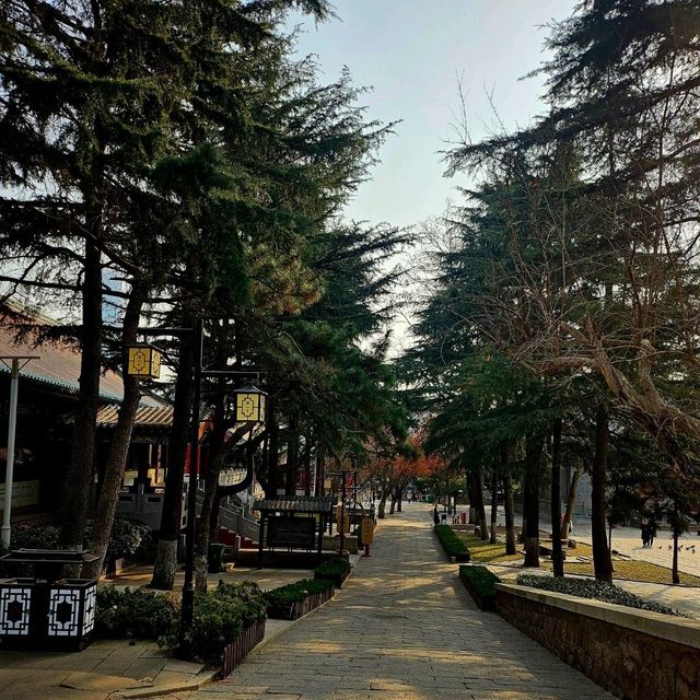 วัดจ้านซาน (zhanshan temple) ชิงเต่า ประเทศจีน