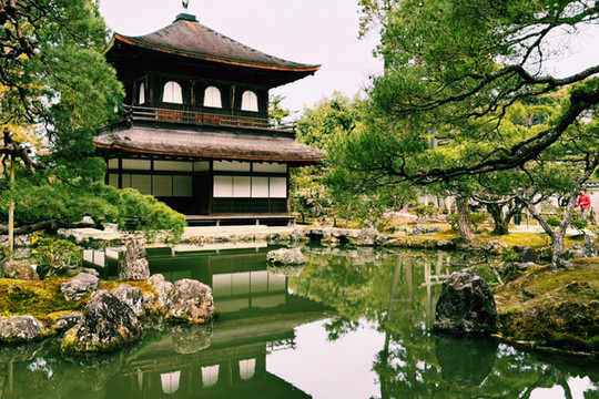 1mi64224x8yj0xetl3ACC_R_600_40