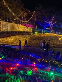 งานประดับไฟ เมืองชิริว จังหวัดไอจิต