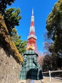 Shiba Park