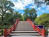 福岡 -  太宰府天滿宮的心靈之旅 🌸✨